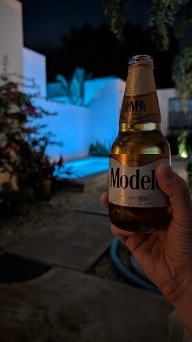 PXL_20260201_033910976